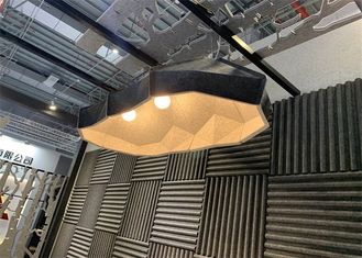 Type unique abat-jour spécial léger pendant acoustique de feutre d'animal familier pour la maison