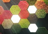 Panneaux de mur acoustiques de la mousse 3d de nature pour la preuve de rouille de décoration de plante verte de murs