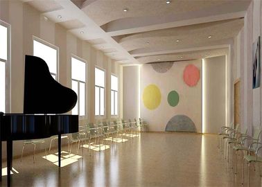 Étanche à l'humidité palpable acoustique de panneaux de mur de la décoration 3d de Music Room