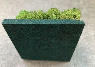 Facile léger d'insonorisation décorative d'écrans antibruits de plante verte à épousseter