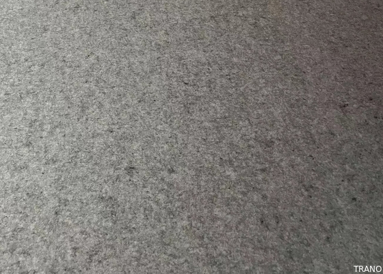 Anti écran antibruit bactérien protégé de la poussière de fibre de polyester de la catégorie E0